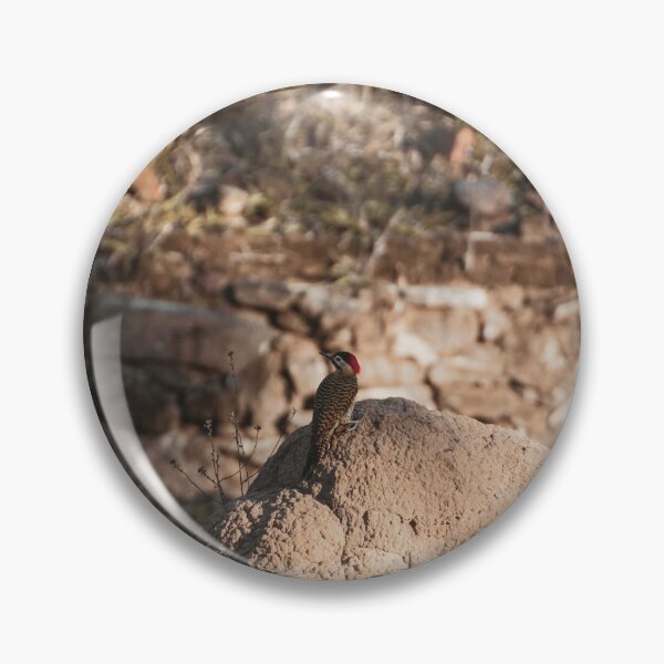 Item preview, Woodpecker designed and sold by anafrancisconi.