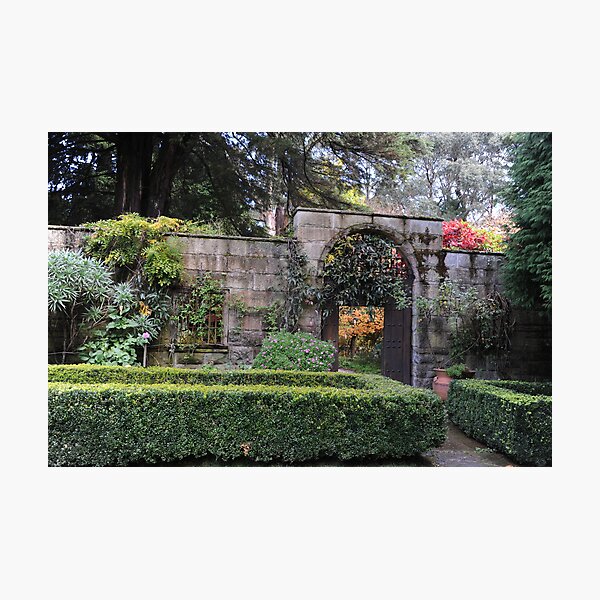 YENGO GARDENS, MOUNT WILSON, NSW. Photographic Print