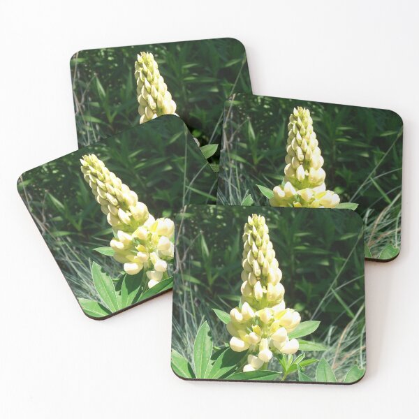 Item preview, Discovery designed and sold by Tamara McDonnell.