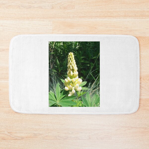 Item preview, Discovery designed and sold by Tamara McDonnell.