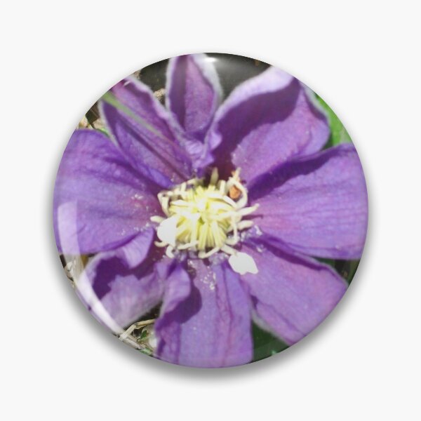 Item preview, Clematis beginnings designed and sold by Tamara McDonnell.