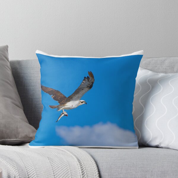 Item preview, An osprey flying with a fish - landscape designed and sold by Jason Gilbert.