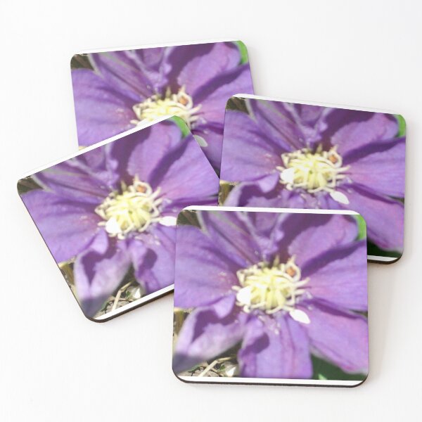 Item preview, Beginnings designed and sold by Tamara McDonnell.