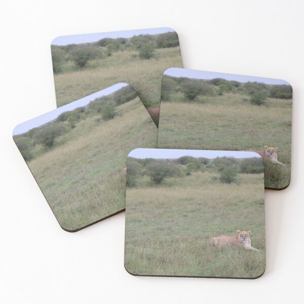 Item preview, Lioness in the Wild designed and sold by MidEast Designs.