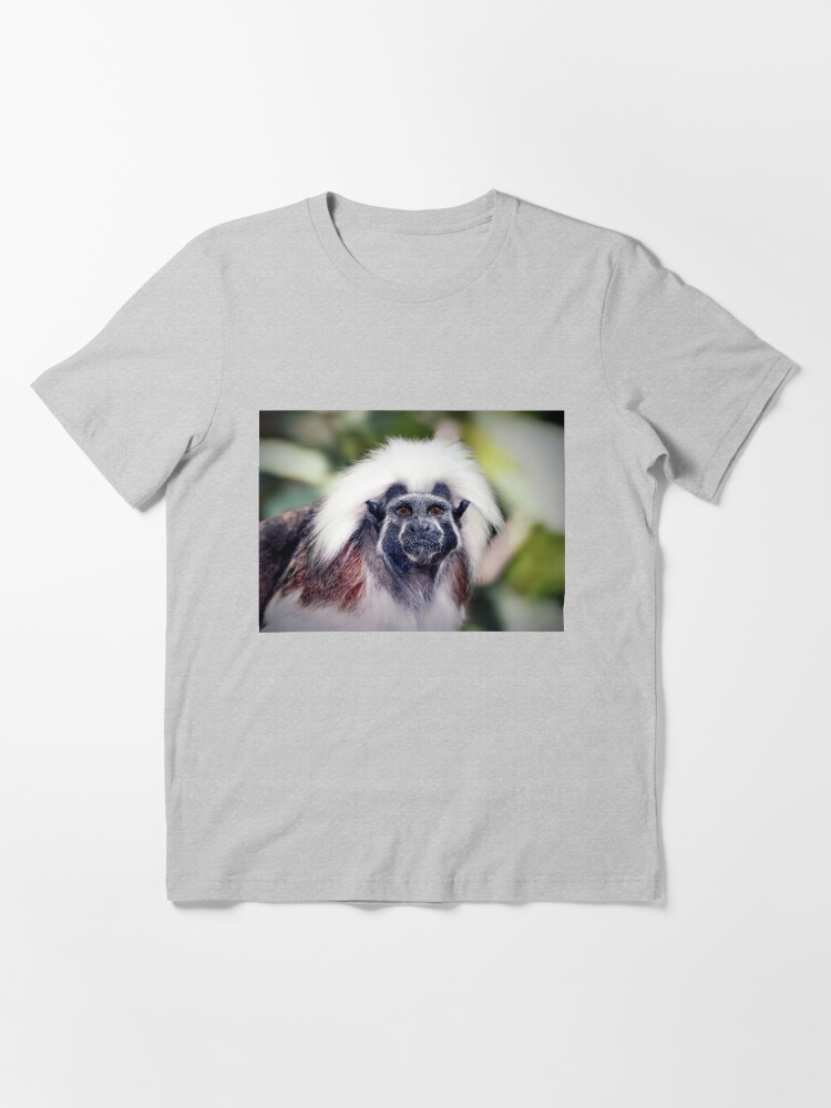 "Cottontop Marmoset" Tshirt for Sale by venny Redbubble cotton