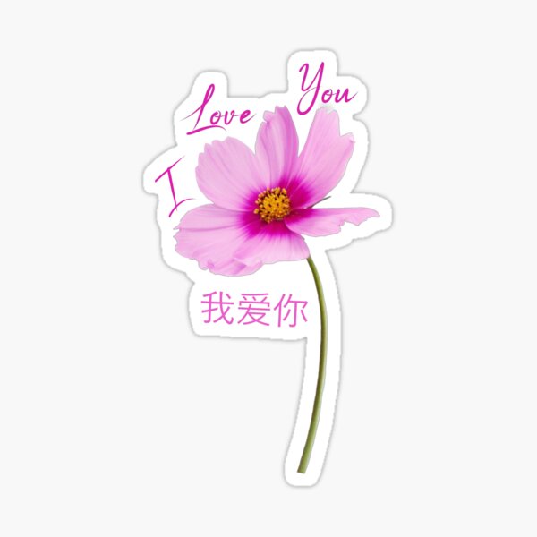 Wo Ai Ni (I Love You in Chinese) Sticker