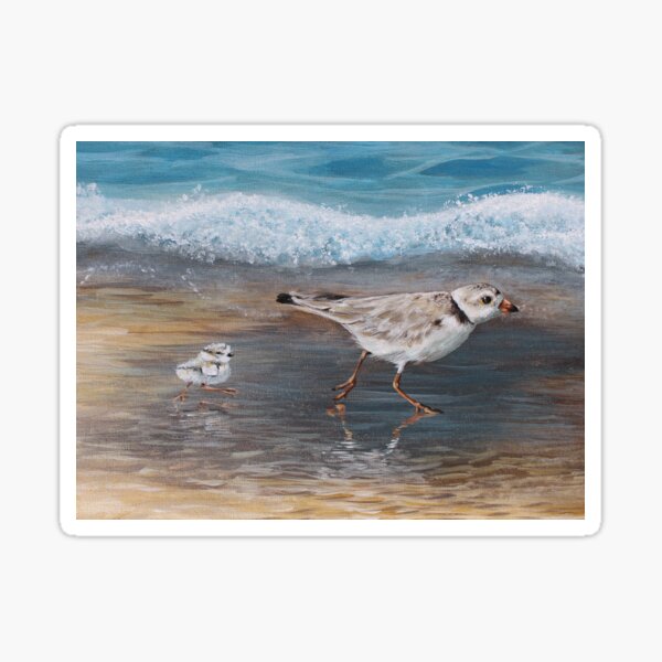 Plover Mommy and Chick Sticker