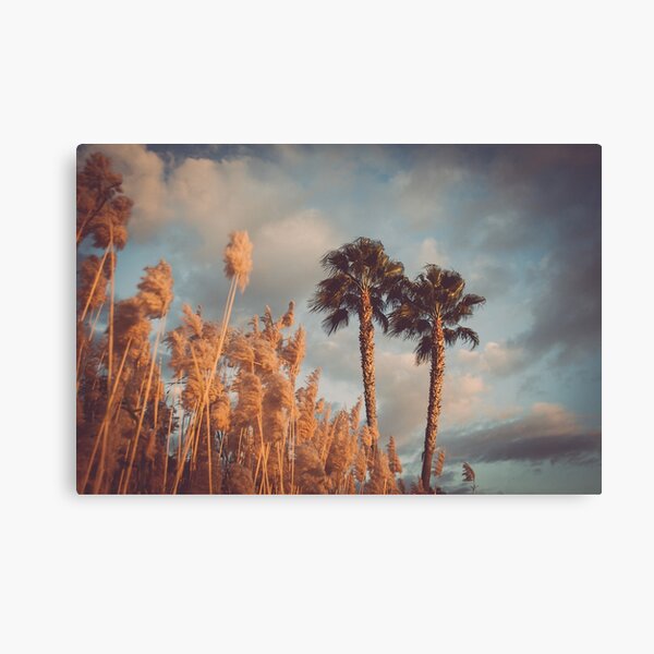 Reeds by the Beach - Dramatic Scenery with Palms Canvas Print