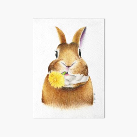 Bunny Art Board Print