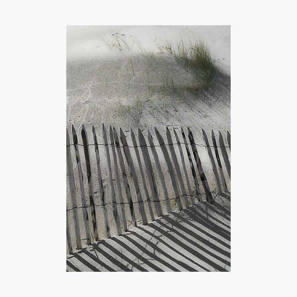 dunes Photographic Print