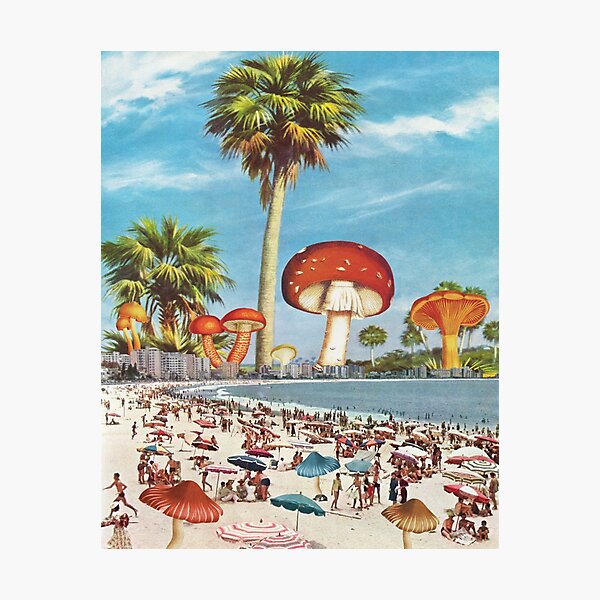 Summer Shade Photographic Print
