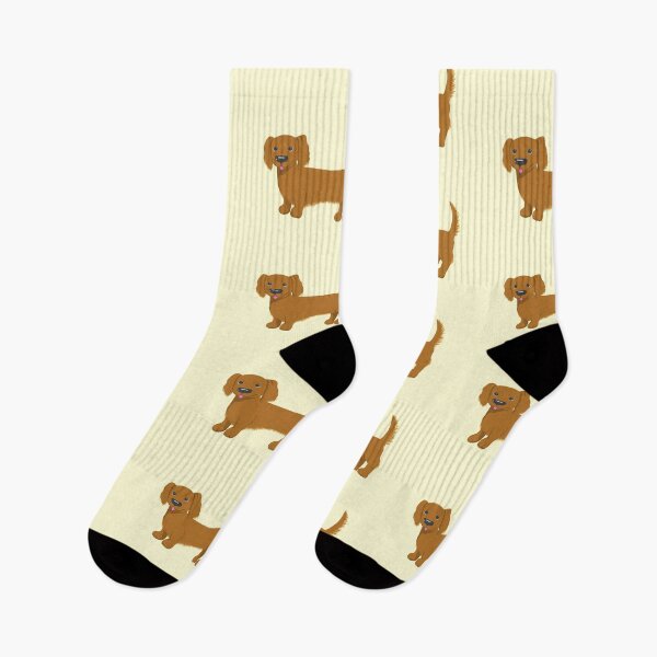 Item preview, Brown Long Haired Dachshund  designed and sold by kris10schiller.