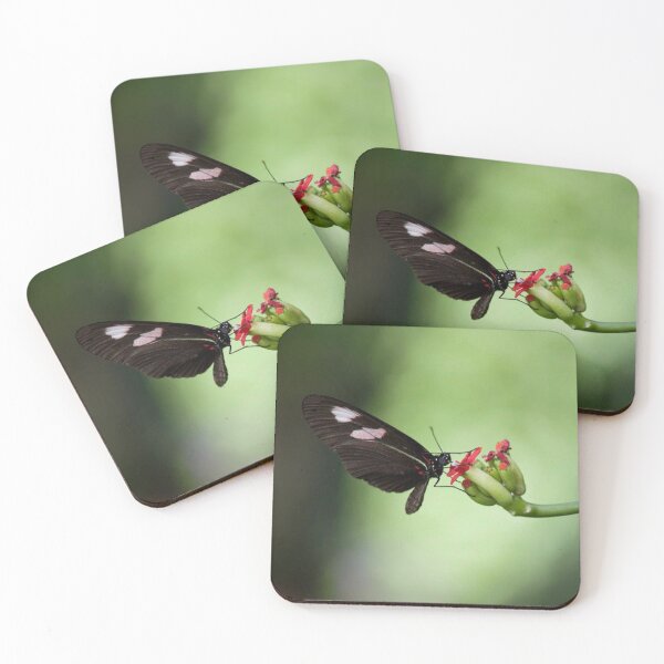 Item preview, Black Beauty designed and sold by Jacquelie.