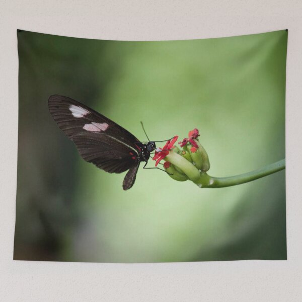 Item preview, Black Beauty designed and sold by Jacquelie.