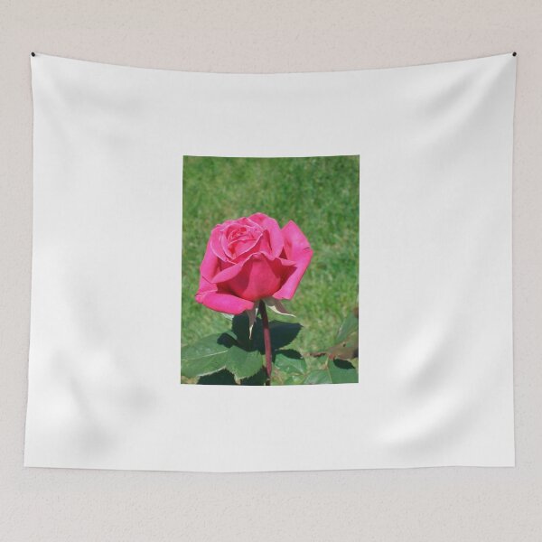 Item preview, Single Pink Rose designed and sold by Tamara McDonnell.