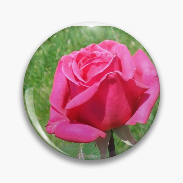 Item preview, Pink Rose Duet designed and sold by Tamara McDonnell.