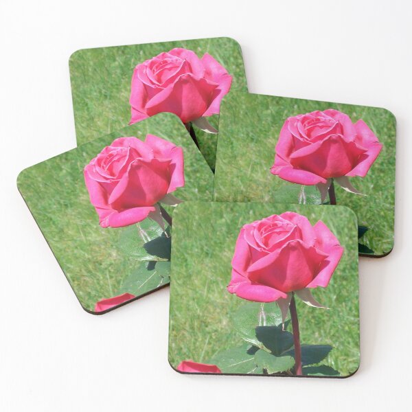 Item preview, Pink Rose Duet designed and sold by Tamara McDonnell.
