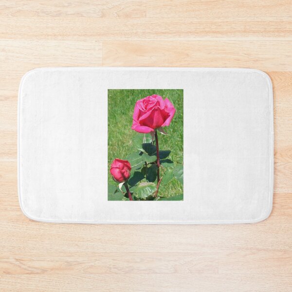 Item preview, Pink Rose Duet designed and sold by Tamara McDonnell.