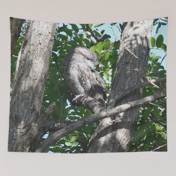 Item preview, Hidden in Plain Sight designed and sold by Lyn Walker.