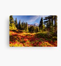 Spray Park Canvas Print