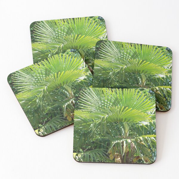 Item preview, Fans Above designed and sold by Tamara McDonnell.