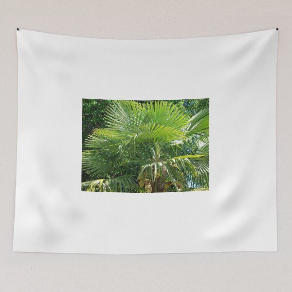 Item preview, Fans Above designed and sold by Tamara McDonnell.