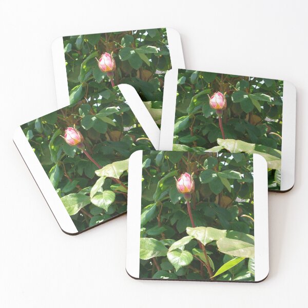 Item preview, Single Rose #2 designed and sold by Tamara McDonnell.