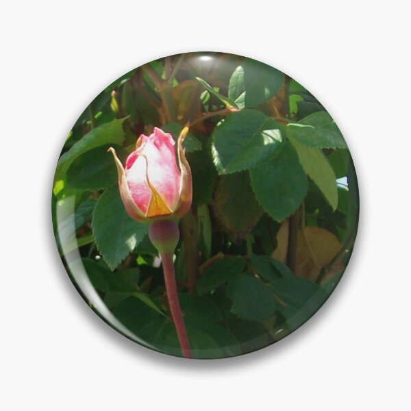 Item preview, Single Rose #2 designed and sold by Tamara McDonnell.