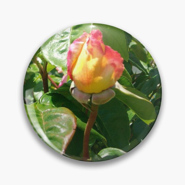 Item preview, Single Rose designed and sold by Tamara McDonnell.