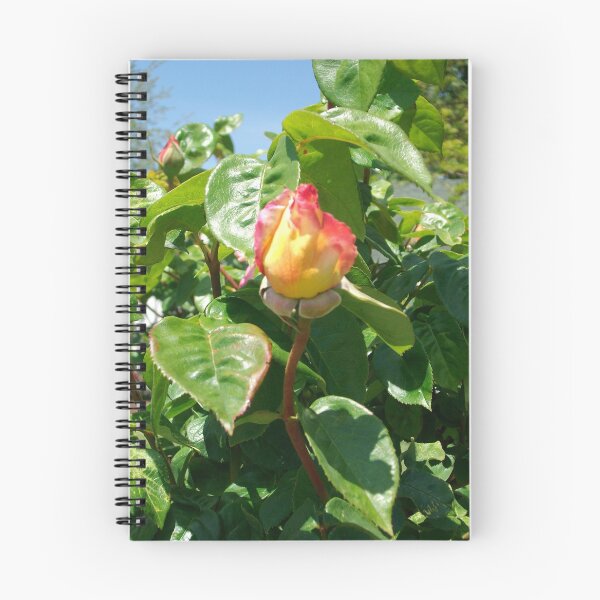 Item preview, Single Rose designed and sold by Tamara McDonnell.