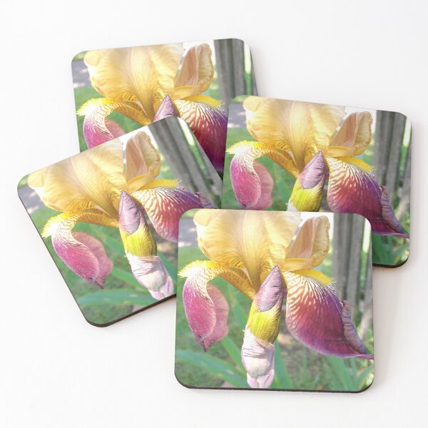 Item preview, Multi Color Bearded Iris #2 designed and sold by Tamara McDonnell.