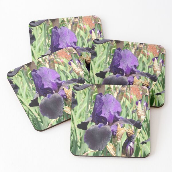 Item preview, Purple Bearded Iris #2 designed and sold by Tamara McDonnell.