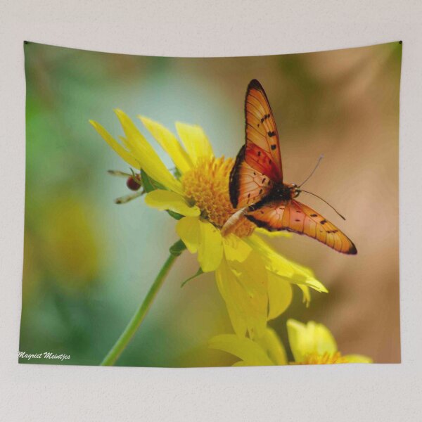 Item preview, DUSKY-VEINED ACRAEA - Hyalites Igola designed and sold by Magriet Meintjes.