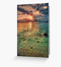 Starfish sunset Greeting Card