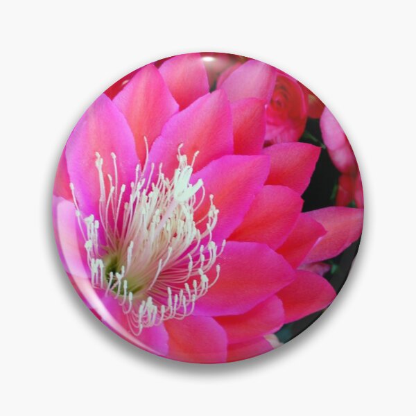 Item preview, A Sensational Sunrise designed and sold by Michael May.