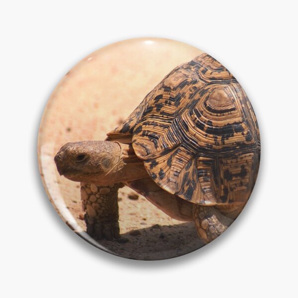 Item preview, LEOPARD TORTOISE - Geochelone pardalis designed and sold by Magriet Meintjes.