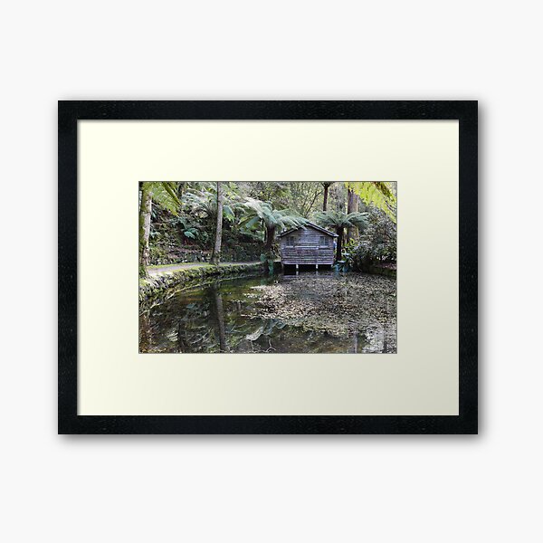 Item preview, Alfred Nicholas Gardens designed and sold by Matt Trewin.