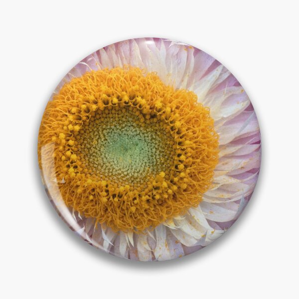 Item preview, Daisy Love designed and sold by Luke Foster.