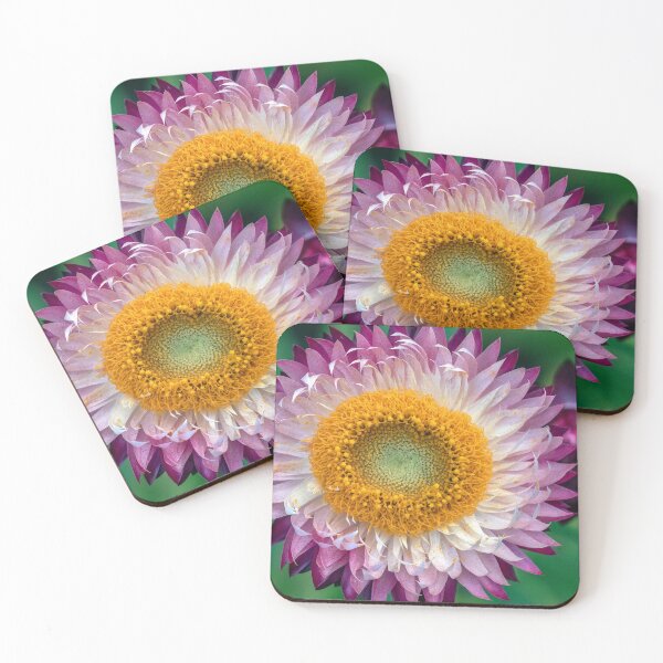 Item preview, Daisy Love designed and sold by Luke Foster.