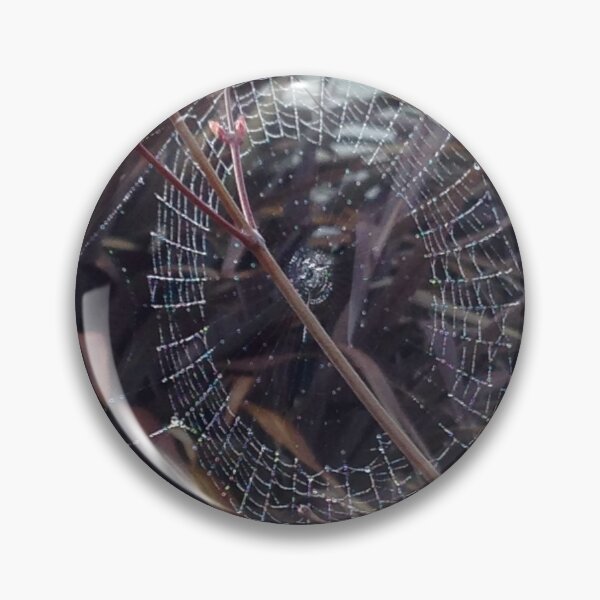 Item preview, Web I designed and sold by David Thompson.
