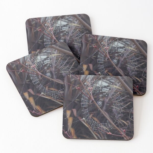 Item preview, Web I designed and sold by David Thompson.