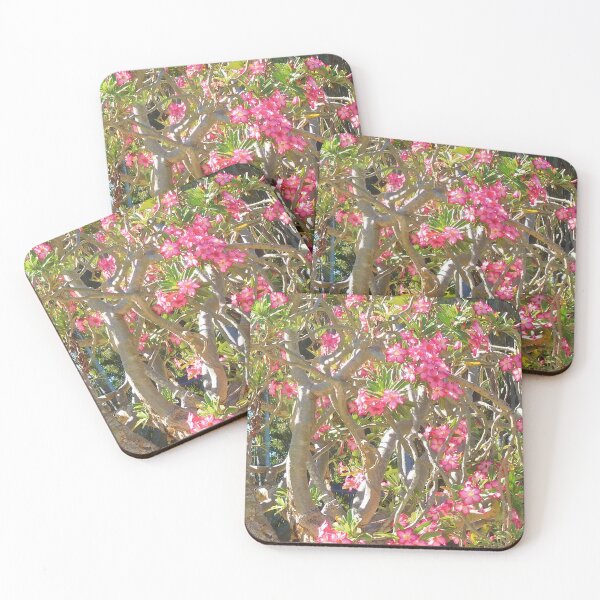 Item preview, Desert Rose designed and sold by Lyn Walker.