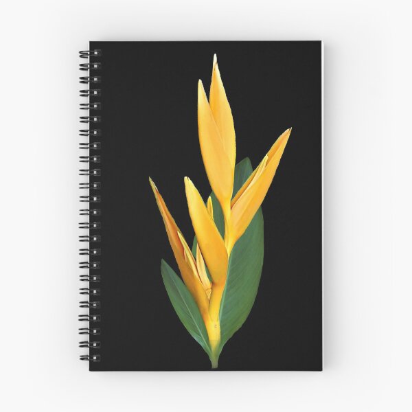 Item preview, Helikonia - blossom - flower in the tropics - Kenya / Africa designed and sold by TShirtsundMehr.