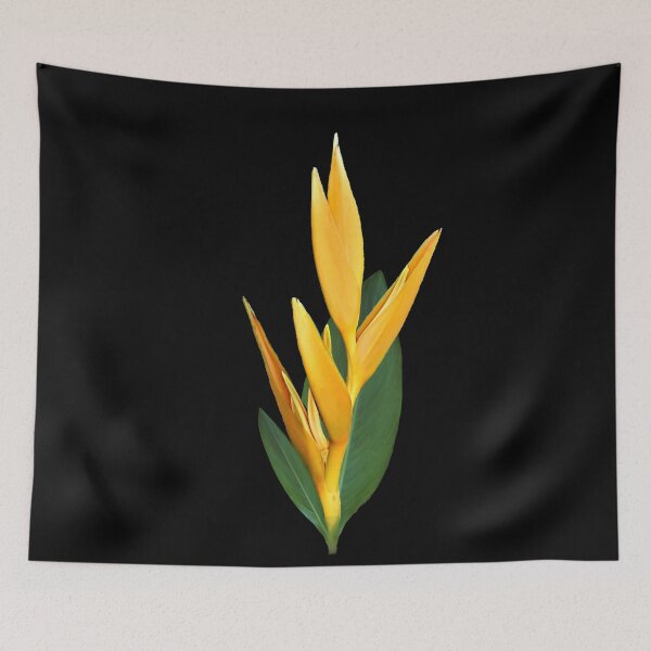 Item preview, Helikonia - blossom - flower in the tropics - Kenya / Africa designed and sold by TShirtsundMehr.