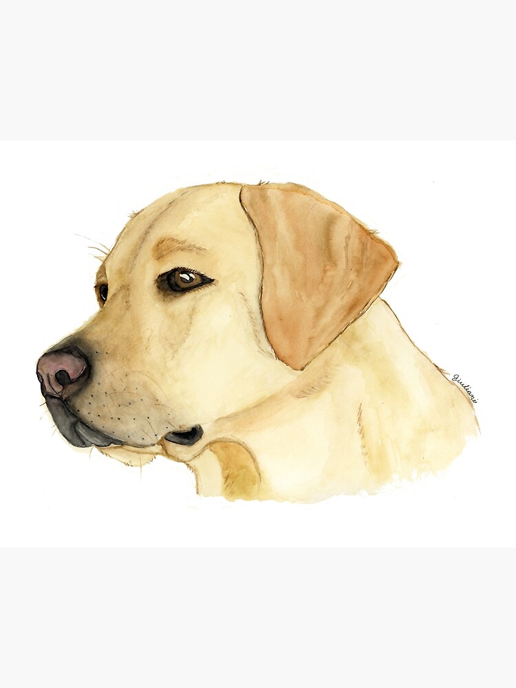 Hand Painted Watercolor Yellow Lab Print Labrador