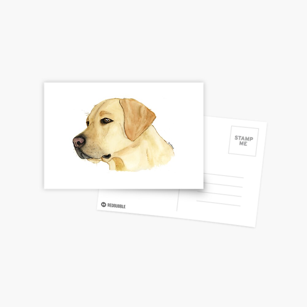 10 Yellow Lab Forever Stamps Labrador Retriever Pet Dog Postage Stamps for  Mailing