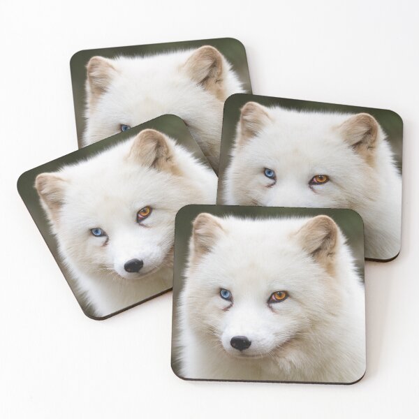 Item preview, Odd eyed arctic fox designed and sold by Cloudtail.