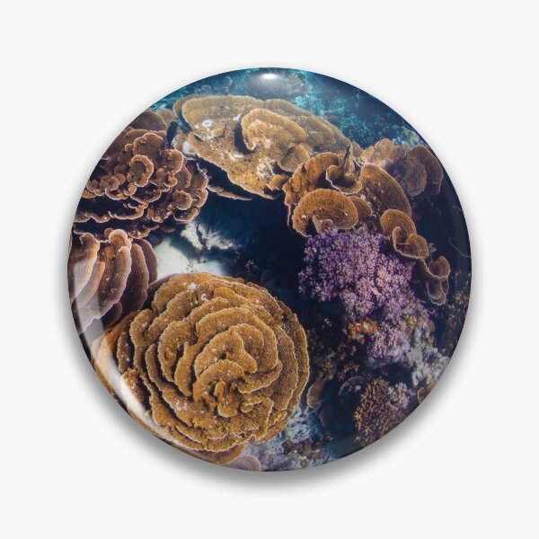 Item preview, Coral Gardens designed and sold by Jesshaddenphoto.