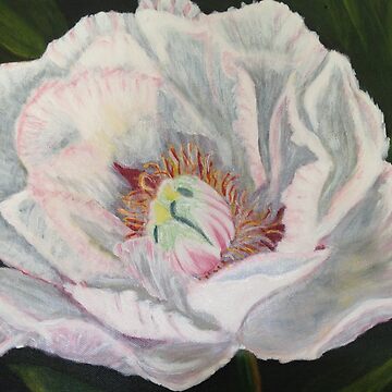 Artwork thumbnail, A Camelia from my garden by Fiona Gurnsey