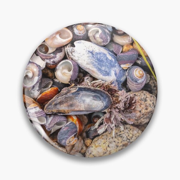 Item preview, Seashells designed and sold by jvnimages.